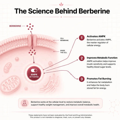 Berberine Complex - The Fat-Burning Switch Your Body Stopped Using